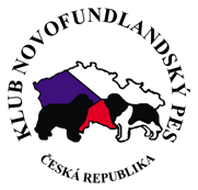 Klub-novofundlandsky-pes3